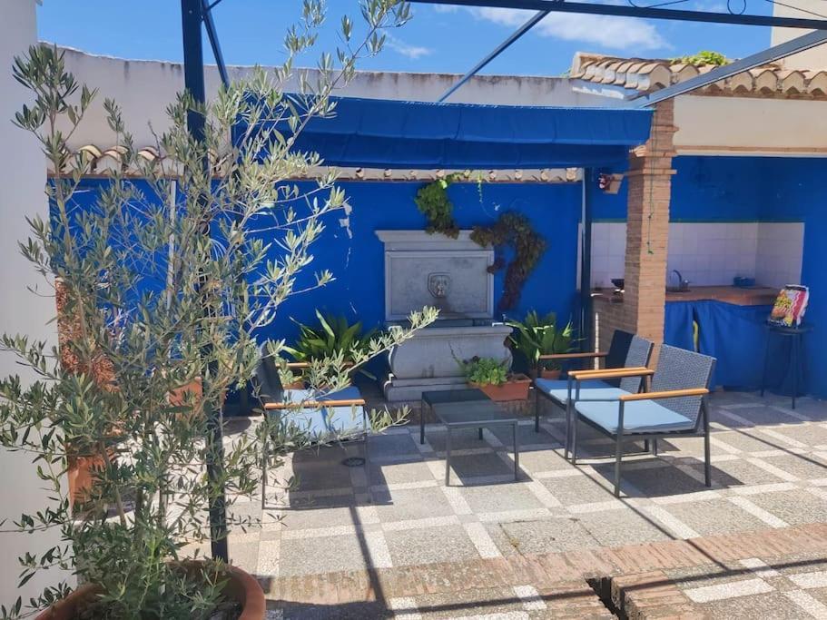 גרנדה Lolas Cozy Studio מראה חיצוני תמונה